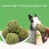 Bola Hierbas Naturales Molienda X2 Unidades Hámster Comida