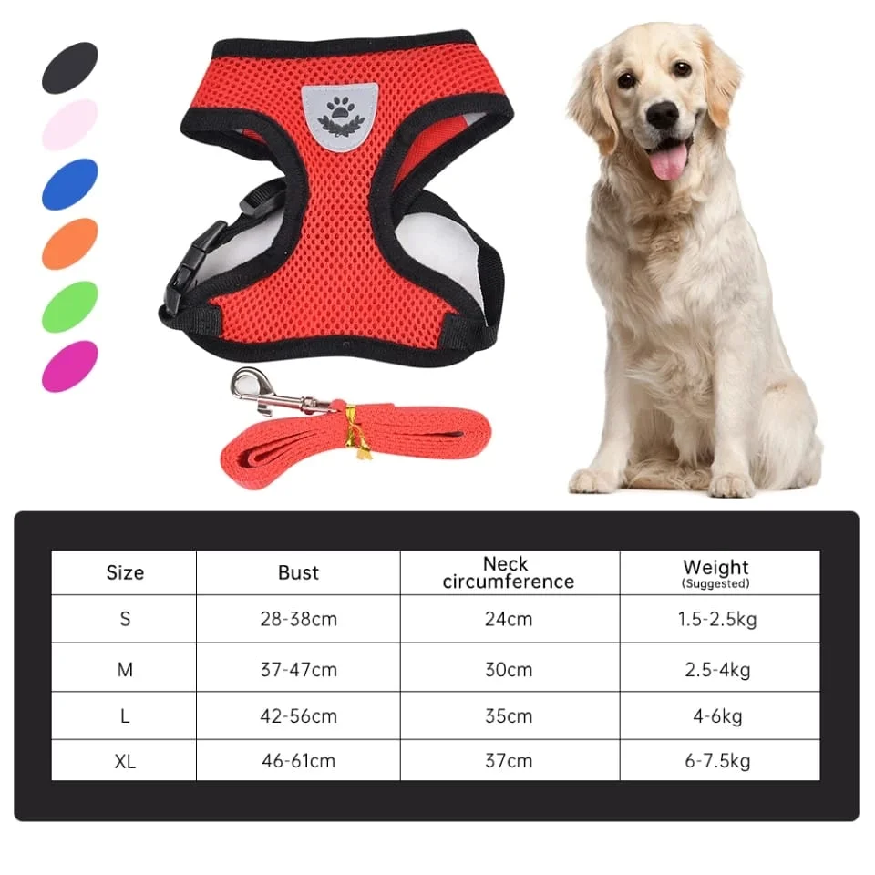 Arnés para perro chaleco elegante - Imagen 2