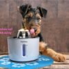 Fuente de Agua Para Gatos Grus 2.4L+3 Filtros + 2 Cepillos y Tapete - Imagen 5