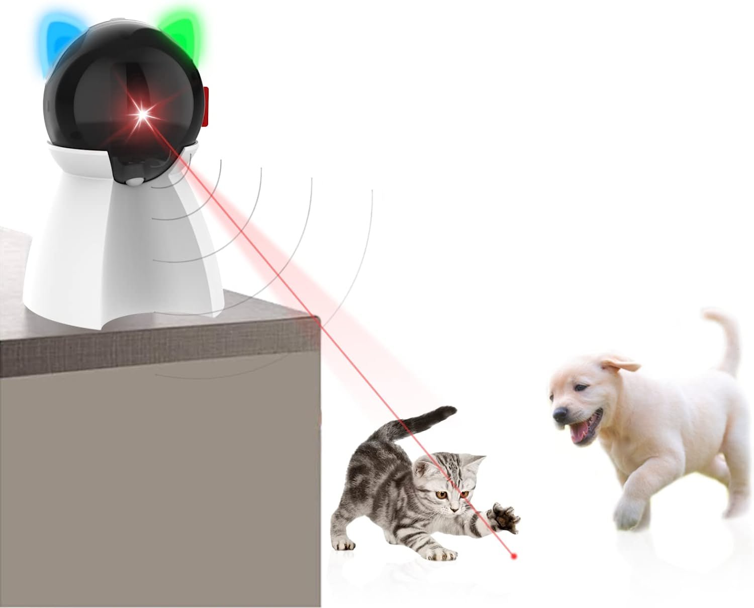 Juguete Láser Gatos Interactivo. Sensor Movimiento - Tienda Púrpura - Pet  Shop