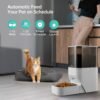 Alimentador Comedero Automático Perros Gatos Epic. Wifi - Imagen 7