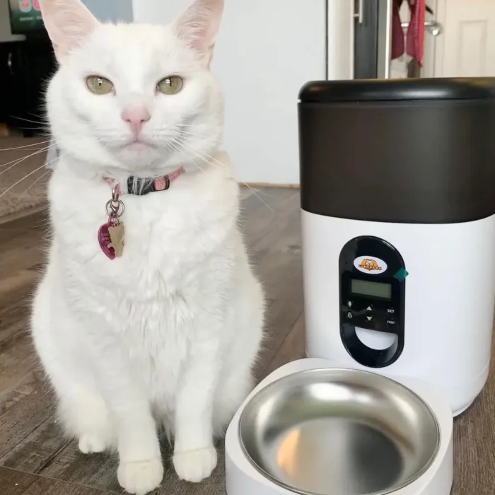 Alimentador Automático Perros Gatos. 4 Litros +Grabador de Voz - Imagen 6