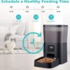 Alimentador Comedero Automático Perros Gatos BlackStone. Grabador de Voz + 4 Litros - Imagen 3