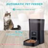 Alimentador Comedero Automático Perros Gatos BlackStone. Grabador de Voz + 4 Litros - Imagen 2