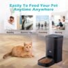 Alimentador Comedero Automático Perros Gatos BlackStone. Grabador de Voz + 4 Litros - Imagen 4