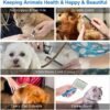 Maquina Peluquería Perros + Accesorios Dante - Imagen 3