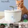 Fuente de Agua Gatos PeWin + 2 Juguetes. - Imagen 5