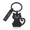 Placa Identificación Personalizada Gatos Placa. Grabado Láser