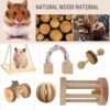 Juguetes Molares Gimnasio Conejos Cobayos Hamster - Imagen 5