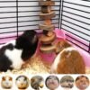 Juguetes Molares Gimnasio Conejos Cobayos Hamster - Imagen 6