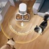 Alimentador Automático Doble para Mascotas Garfield - Imagen 4