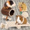 Combo Juguetes Molares Bugs Conejos Cobayos - Imagen 5