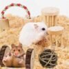21 Juguetes Molares Hamster Cobayas Conejos Smile - Imagen 5