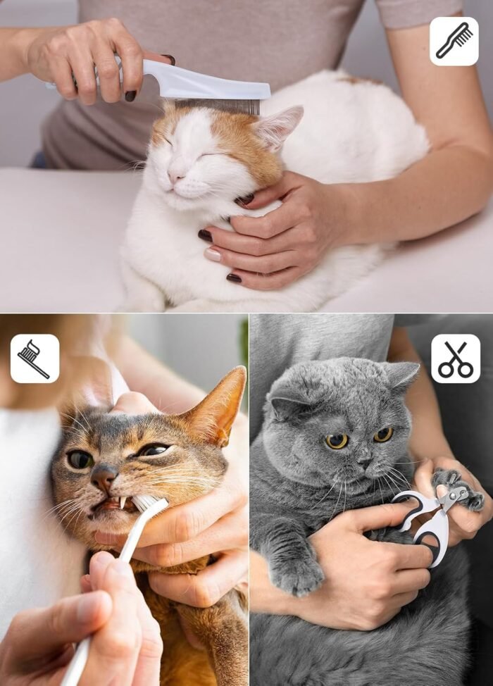 Fuente de Agua para Gatos Inalámbrica más Accesorios de aseo TeSecu - Imagen 2